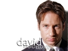 David Duchovny,koszula, krawat