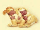 Niemowlaki, Zające, Anne Geddes