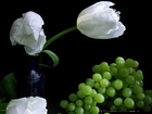 Białe, Tulipany, Zielone, Winogrona