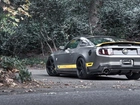 Ford, Mustang, Tuning, Chicane