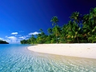 Wyspy Cooka, Plaża, Palmy
