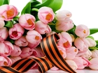 Różowe, Tulipany, Wstążka