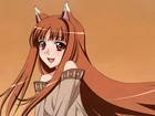 Spice and Wolf