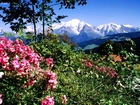 Góry, Mont Blanc, Francja