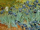 Irysy, Vincent van Gogh, Obraz