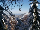 Góry, Drzewa, Śnieg