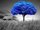 Łąka, Niebieskie, Drzewo