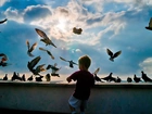 Dziecko, Ptaki, Niebo