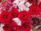 Kolorowe, Róże, Bukiet