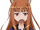 Spice and Wolf, Uszy