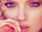Kobieta, Róża, Niebieskie, Oczy