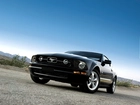 Ford Mustang V6, Pony, Package