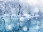 Zima, Śnieg, Drzewa, Woda