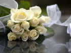Białe, Róże, Wstążka