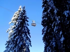 Drzewa, Śnieg, Kolejka, Linowa