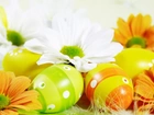 Wielkanocne, Jajka, Margerytki