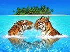 Tygrysy, Woda, Wyspa