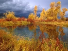 Jezioro, Jesień, Złote, Drzewa