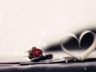 Długopis, Róża, Serce