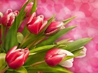 Kolorowe, Tulipany, Serduszka