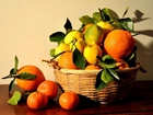 Cytryny, Pomarańcze, Koszyk