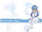 Neon Genesis Evangelion, ayanami, rei, kobieta