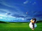 Linux, pingwin, łapka, motyl, wzgórza, trawa