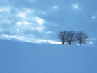 Śnieg, Drzewa, Mróz, Zaspy
