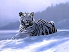 Zima, Biały, Tygrys, Obraz