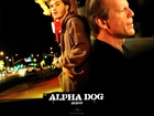 miasto, Alpha Dog, Emile Hirsch, Bruce Willis