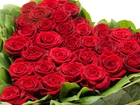 Czerwone, Róże, Serce