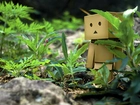 Danbo, Trawa, Kamienie