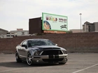 Ford Mustang, Shelby