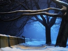 Ogrodzenie, Dróżka, Drzewa, Śnieg