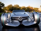 Mercedes Biome Concept