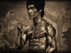 Bruce Lee, Rysunek