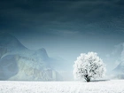 Samotne, Drzewo, Śnieg, Zaspy