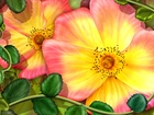 Żółto, Różowe, Kwiatki, Liście, Art