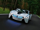 BMW, Vision, Efficient, Dynamics, Concept, 2009