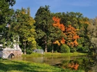 Park, Jezioro, Drzewa, Jesień