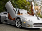 Spyker C8 Aileron, Plac, Drzewa