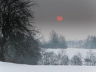 Zima, Drzewa, Cerwone, Słońce