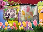 Tulipany, Trawa, Kwiaty, Cytryna, Pomarańcz