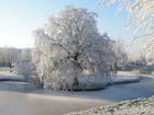 Śnieg, Zaspy, Drzewa, Jezioro