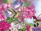 Kolorowe, Kwiaty, Dwa, Kolibry, Art