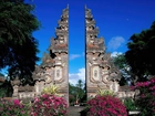 Indonezja, Bali, Murki, Kwiaty, Drzewa