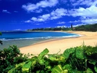 Hawaje, Kauai, Piasek, Liście, Woda