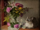 Kot, Bukiet, Kwiatów
