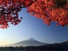 Japonia, Góra, Mount, Fuji, Czerwone, Liście