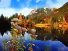 Jezioro, Góry, Las, Jesień